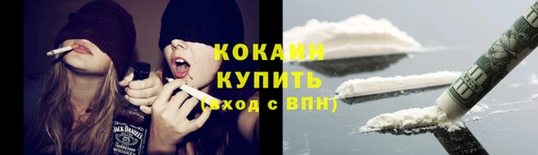 PSILOCYBIN Ладушкин