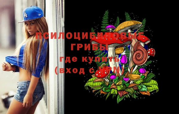 PSILOCYBIN Ладушкин