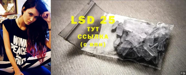 PSILOCYBIN Ладушкин