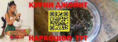 прущие грибы Коммунар