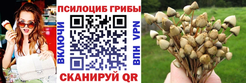 hydra ONION  Кашира  Галлюциногенные грибы Magic Shrooms 