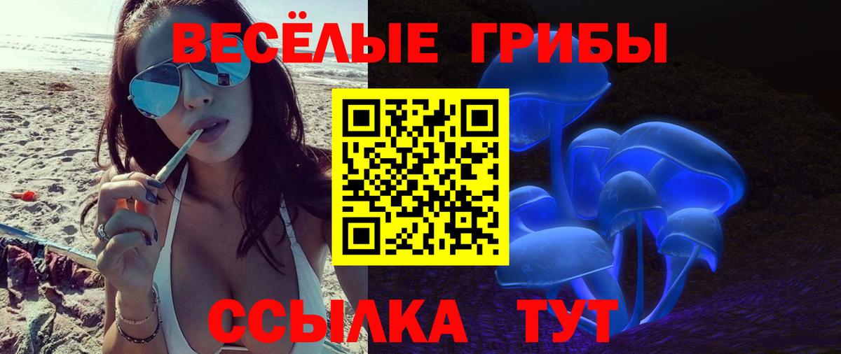Псилоцибиновые грибы GOLDEN TEACHER Кашира