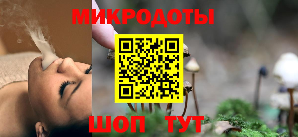 Галлюциногенные грибы прущие грибы  Вход с VPN  Кашира  Галлюциногенные грибы Psilocybe 